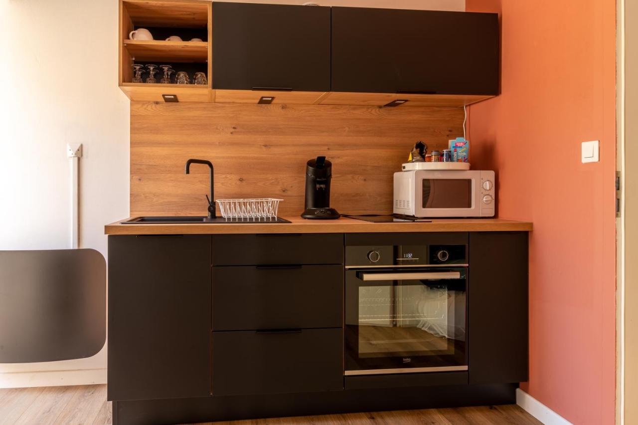 Appartement Cosy Avec Jardin Au Centre Historique De Selestat & Proche Europa-Park Buitenkant foto