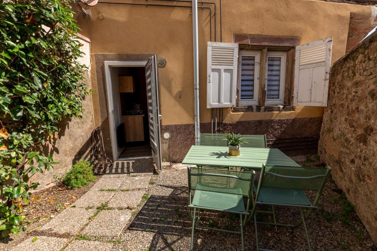 Appartement Cosy Avec Jardin Au Centre Historique De Selestat & Proche Europa-Park Buitenkant foto