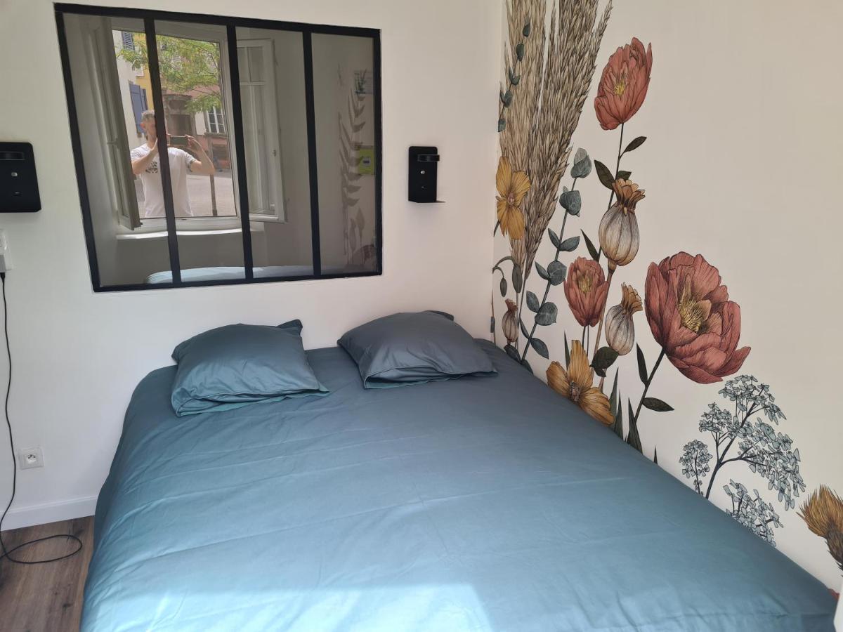 Appartement Cosy Avec Jardin Au Centre Historique De Selestat & Proche Europa-Park Buitenkant foto